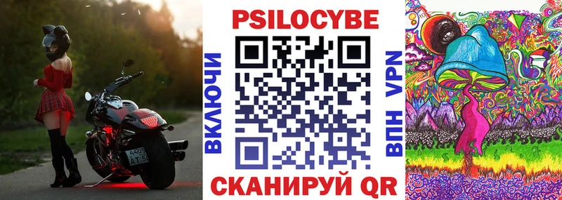 что такое   Ишим  Галлюциногенные грибы Cubensis 