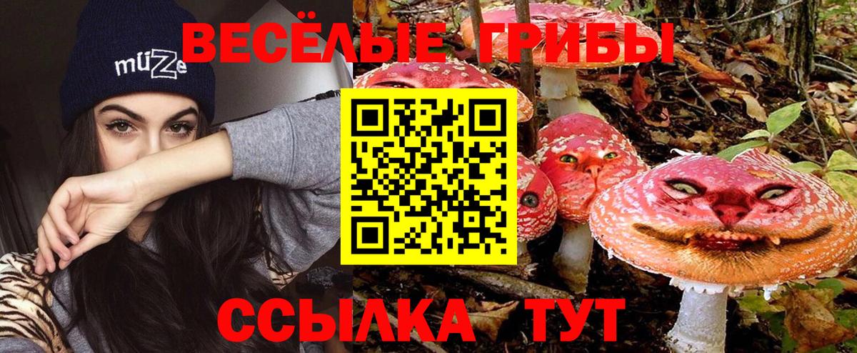 Псилоцибиновые грибы ЛСД  Вход с VPN  Ишим  Галлюциногенные грибы прущие грибы 